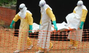 ebola virus