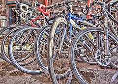 bikes
