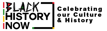Black-History-Month-2023-Branding-Header-Category-Takeover