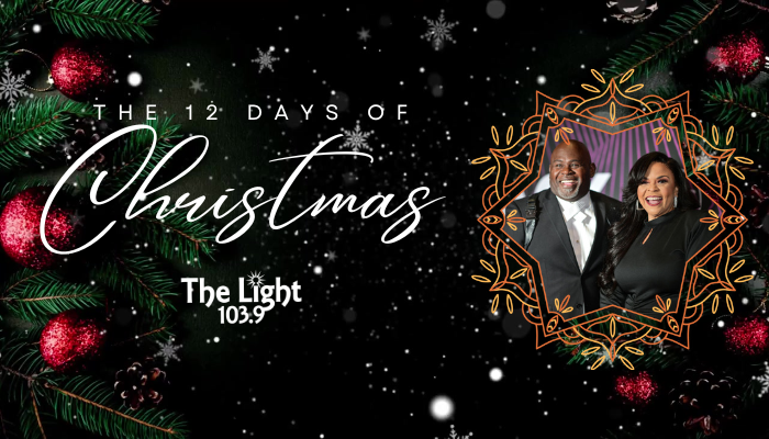 12 Days of Christmas #1